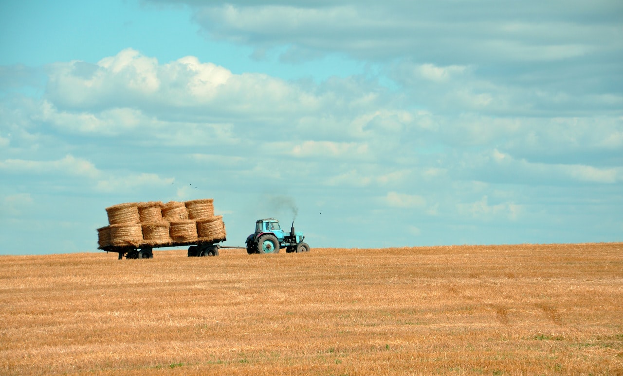 farm to table landscape